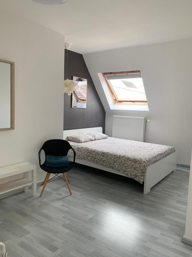 Anna Penthouse Apartment Гент Екстериор снимка
