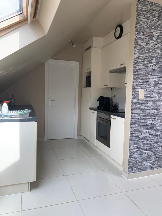 Anna Penthouse Apartment Гент Екстериор снимка