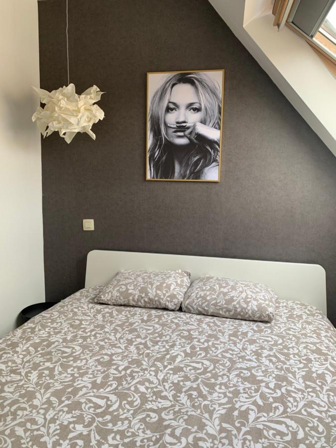 Anna Penthouse Apartment Гент Екстериор снимка