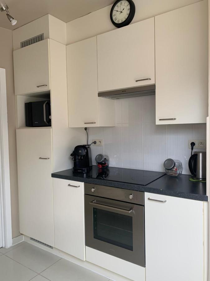 Anna Penthouse Apartment Гент Екстериор снимка